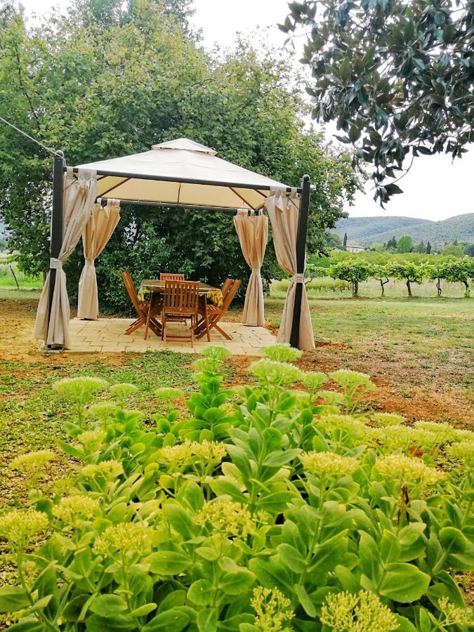 Claudia Vacanza Toscana - Appartamento Melograno -10 Min Da Siena โซวิชิลเล ห้อง รูปภาพ