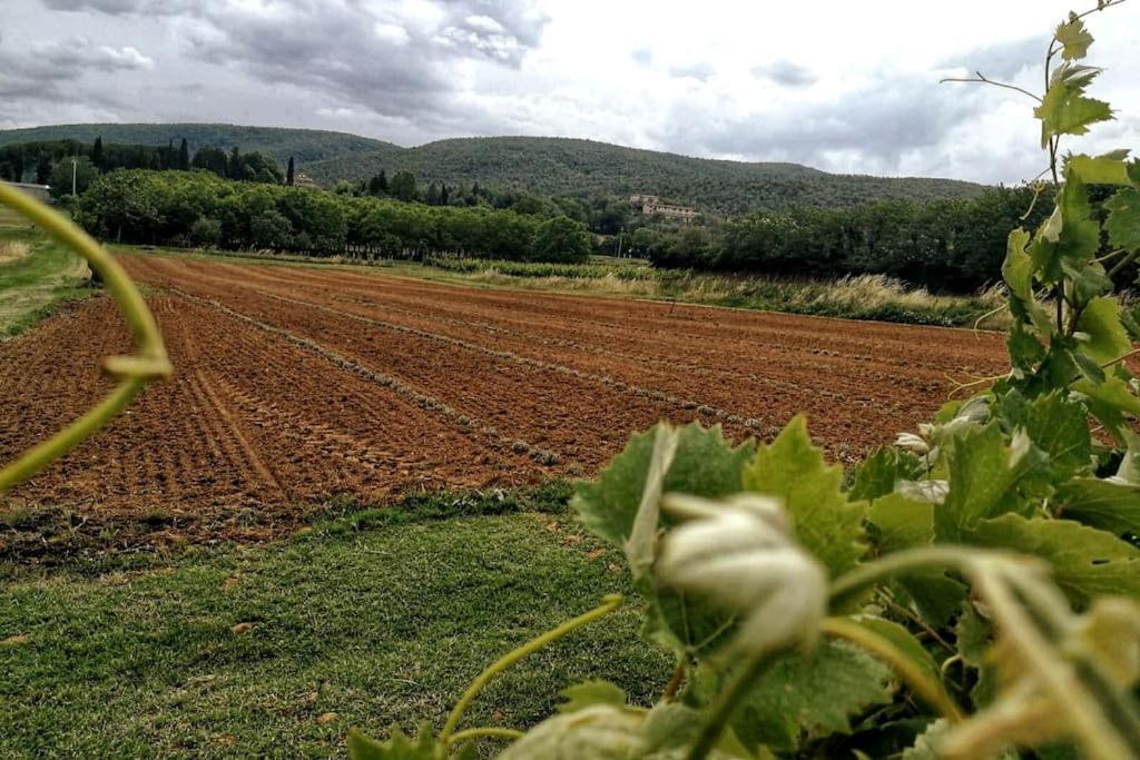 Claudia Vacanza Toscana - Appartamento Melograno -10 Min Da Siena โซวิชิลเล ภายนอก รูปภาพ