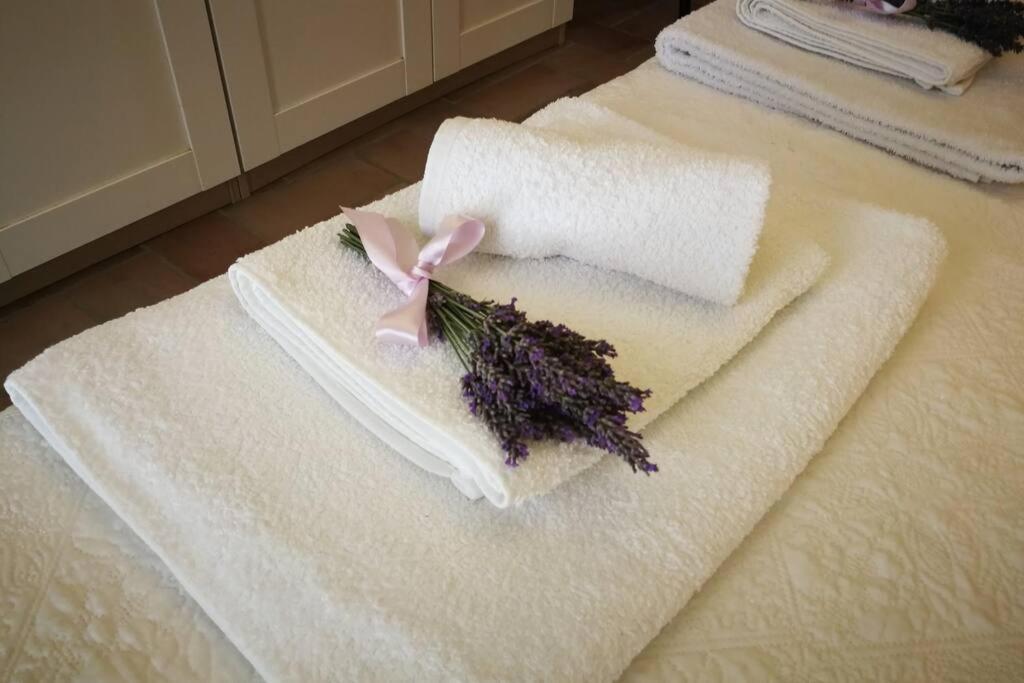Claudia Vacanza Toscana - Appartamento Melograno -10 Min Da Siena โซวิชิลเล ภายนอก รูปภาพ
