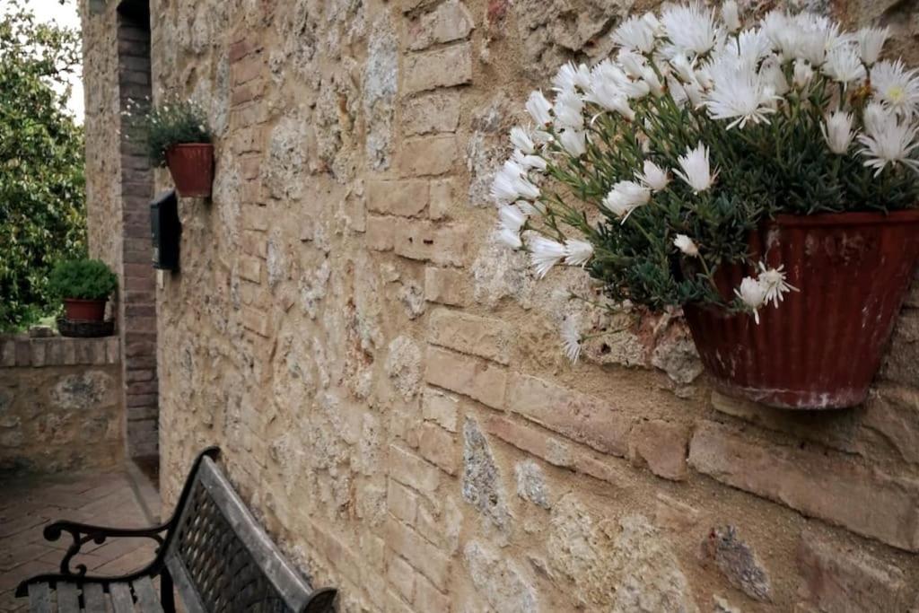 Claudia Vacanza Toscana - Appartamento Melograno -10 Min Da Siena โซวิชิลเล ภายนอก รูปภาพ