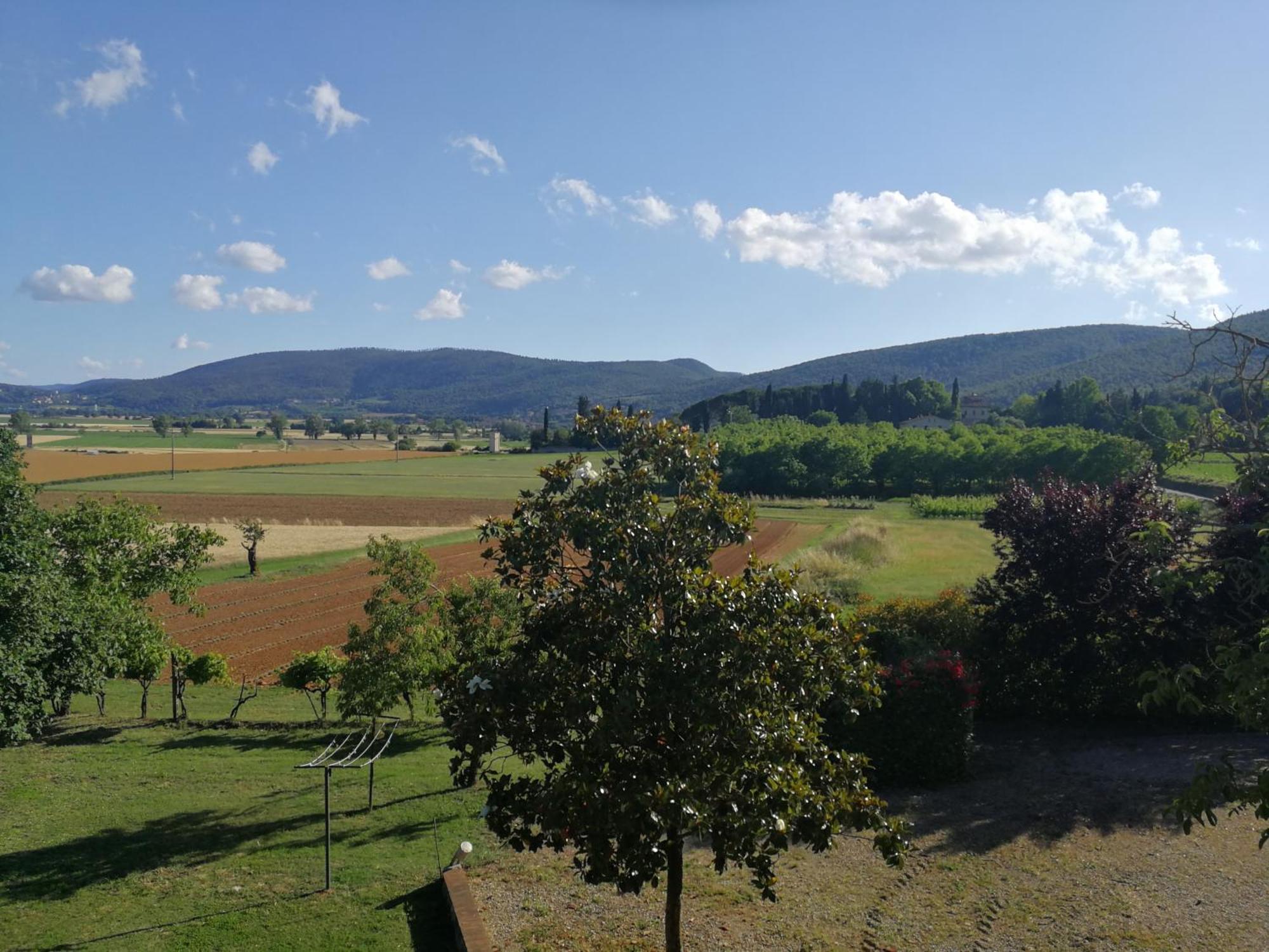Claudia Vacanza Toscana - Appartamento Melograno -10 Min Da Siena โซวิชิลเล ห้อง รูปภาพ