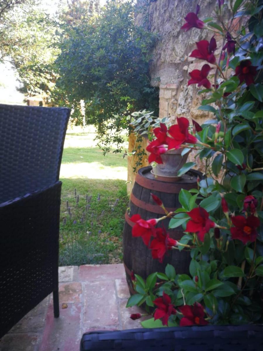 Claudia Vacanza Toscana - Appartamento Melograno -10 Min Da Siena โซวิชิลเล ภายนอก รูปภาพ