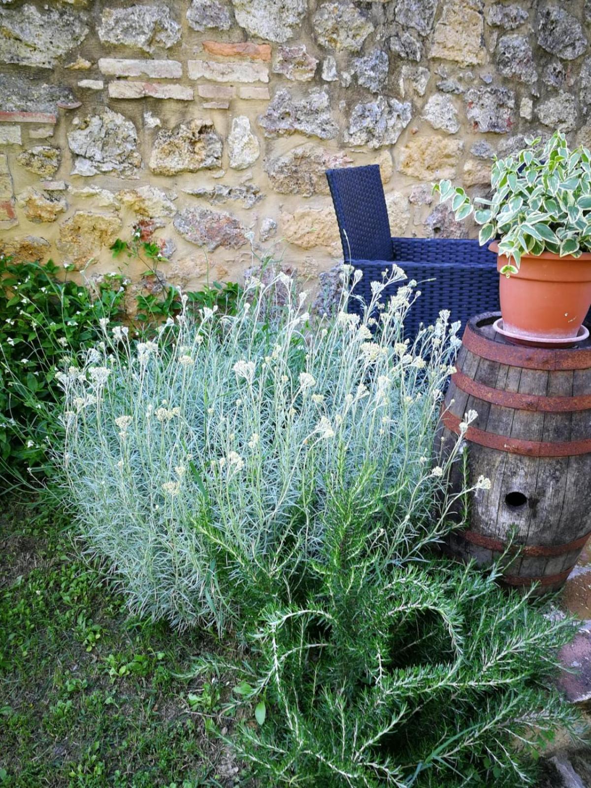 Claudia Vacanza Toscana - Appartamento Melograno -10 Min Da Siena โซวิชิลเล ภายนอก รูปภาพ