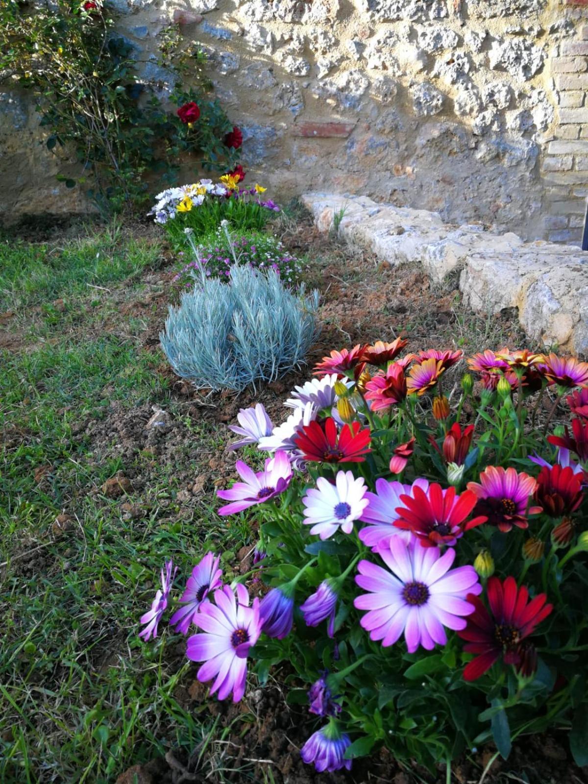 Claudia Vacanza Toscana - Appartamento Melograno -10 Min Da Siena โซวิชิลเล ภายนอก รูปภาพ